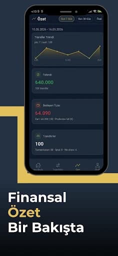 Bestwest passenger financial summary